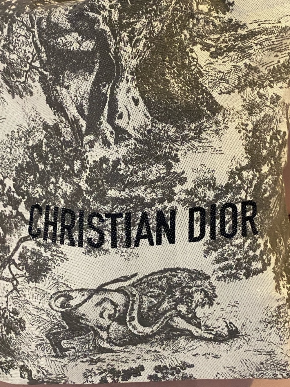 Authentic Christian Dior toile de jouy Logo Canvas luxury designer Tote - Picture 2 of 6